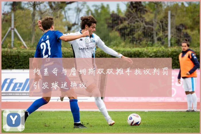约基奇与詹姆斯双双摊手抗议判罚引发球迷热议